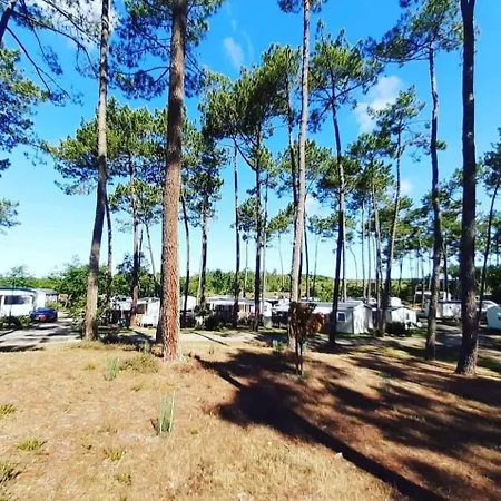 Les Dunes De Contis 4 Etoiles A St Julien En Born Emplacement 277 3ch 1sdb 8 Personnes 公寓